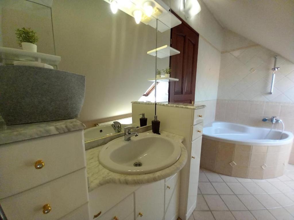 Appartamento Lujza Apartman Goedoello Esterno foto